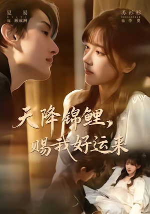 天降锦鲤，赐我好运来（60集）精彩短剧看不停