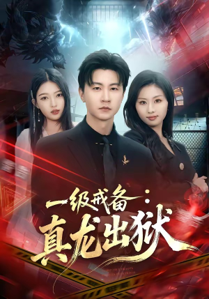 一级戒备：真龙出狱（73集）分享好看短剧