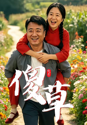 傻草（71集）最火短剧热播中