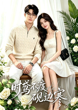 时鸢不渡砚边寒（41集）超级好看的短剧