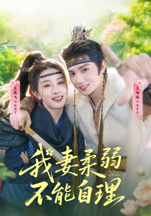 我妻柔弱不能自理（72集）高清无码免费看