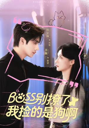 Boss别撩了，我捡的是狗呀（65集）无需会员免费看