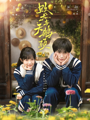 败犬与天鹅颈（71集）短剧追不停