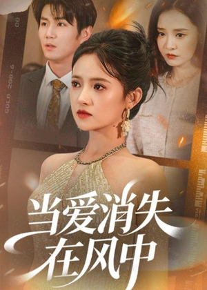 当爱消失在风中（73集）演的怎么样