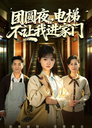 团圆夜,电梯不让我进家门(52集) 团圆夜,电梯不让我进家门(52集)哪个短剧网能看