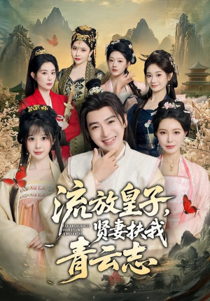流放皇子，贤妻扶我青云志（76集）精彩短剧天天看