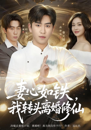 妻心如铁我转头离婚修仙(81集) 妻心如铁我转头离婚修仙(81集)精彩短剧天天看