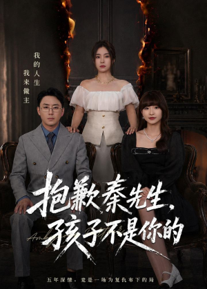 抱歉秦先生，孩子不是你的（53集）短剧热门合集
