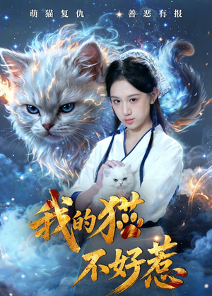 我的猫不好惹(42集) 我的猫不好惹(42集)精彩好看短剧