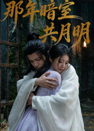 那年暗室共月明（73集）看到大结局
