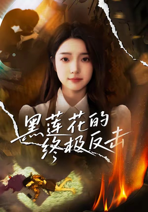 黑莲花的终极反击（60集）网盘在线观看