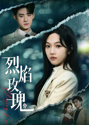 烈焰玫瑰(37集) 烈焰玫瑰(37集)在线观看全集
