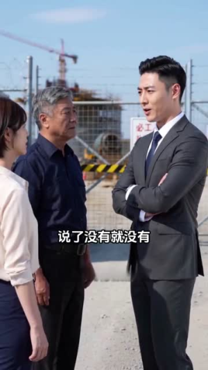 逆风守桥（32集）红果短剧看全集