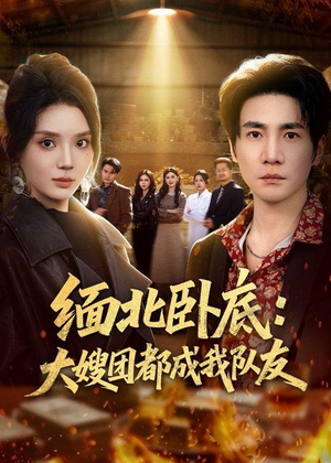 缅北卧底：大嫂团都成我队友（71集）观看软件