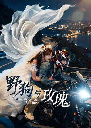 野狗与玫瑰(30集) 野狗与玫瑰(30集)看短剧放松一下