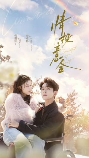情投意合（60集）免费看