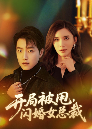 开局被甩,闪婚女总裁(80集) 开局被甩,闪婚女总裁(80集)短剧太好看了吧
