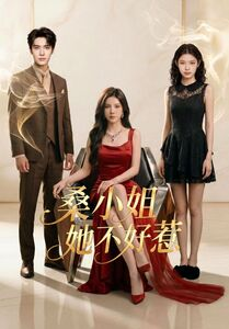 桑小姐她不好惹(103集) 桑小姐她不好惹(103集)精彩短剧上线
