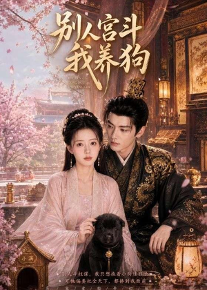别人宫斗我养狗（75集）精彩的网络短剧