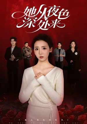 她从夜色深处来（62集）迅雷网盘观看